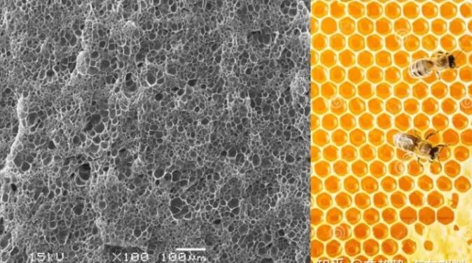 epp發(fā)泡聚丙烯的顯微結構，可以看到這是種連續(xù)閉孔結構，類似于蜂窩